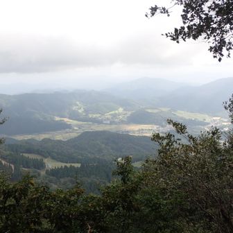 大杉山山頂から見える景色