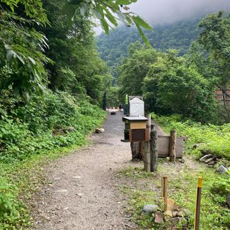 登山口へ戻ってきました。