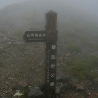 鑓温泉分岐、温泉側に下ります