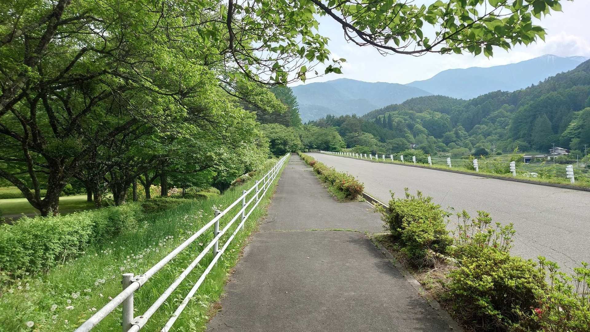 桂小場までどのくらいかかるかいってみます🚶