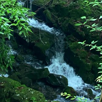 絶景の滝