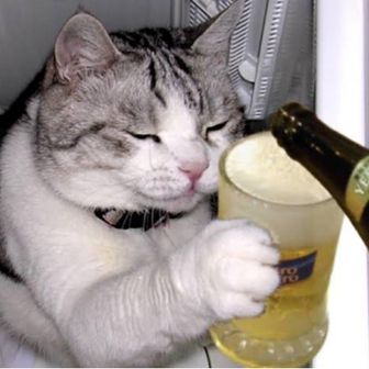 虫嫌いな高所恐怖人