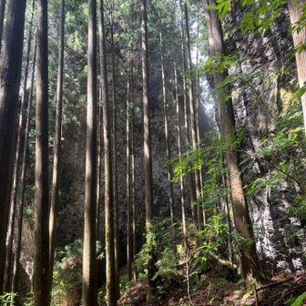 木の奥が鬼岩