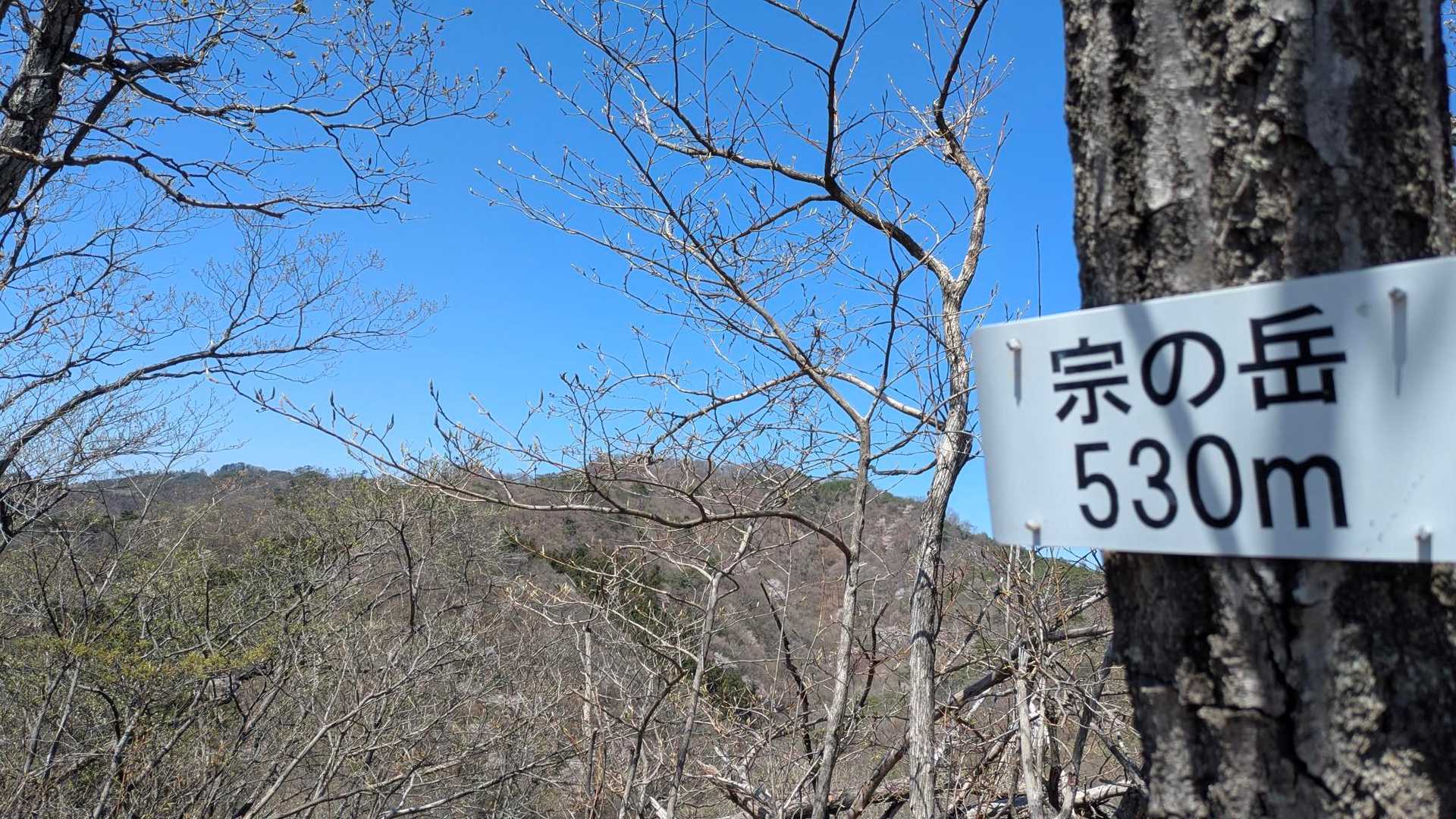 宋の岳GET☝️530