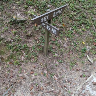 あっちこっち。毘沙門天はこの前、登った四王寺山の1つ大城山へ行く道