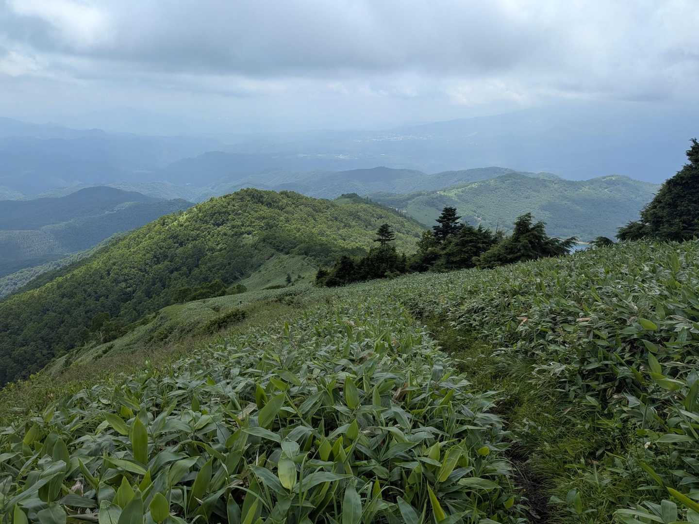 富士見峠-八間山 往復コースの写真