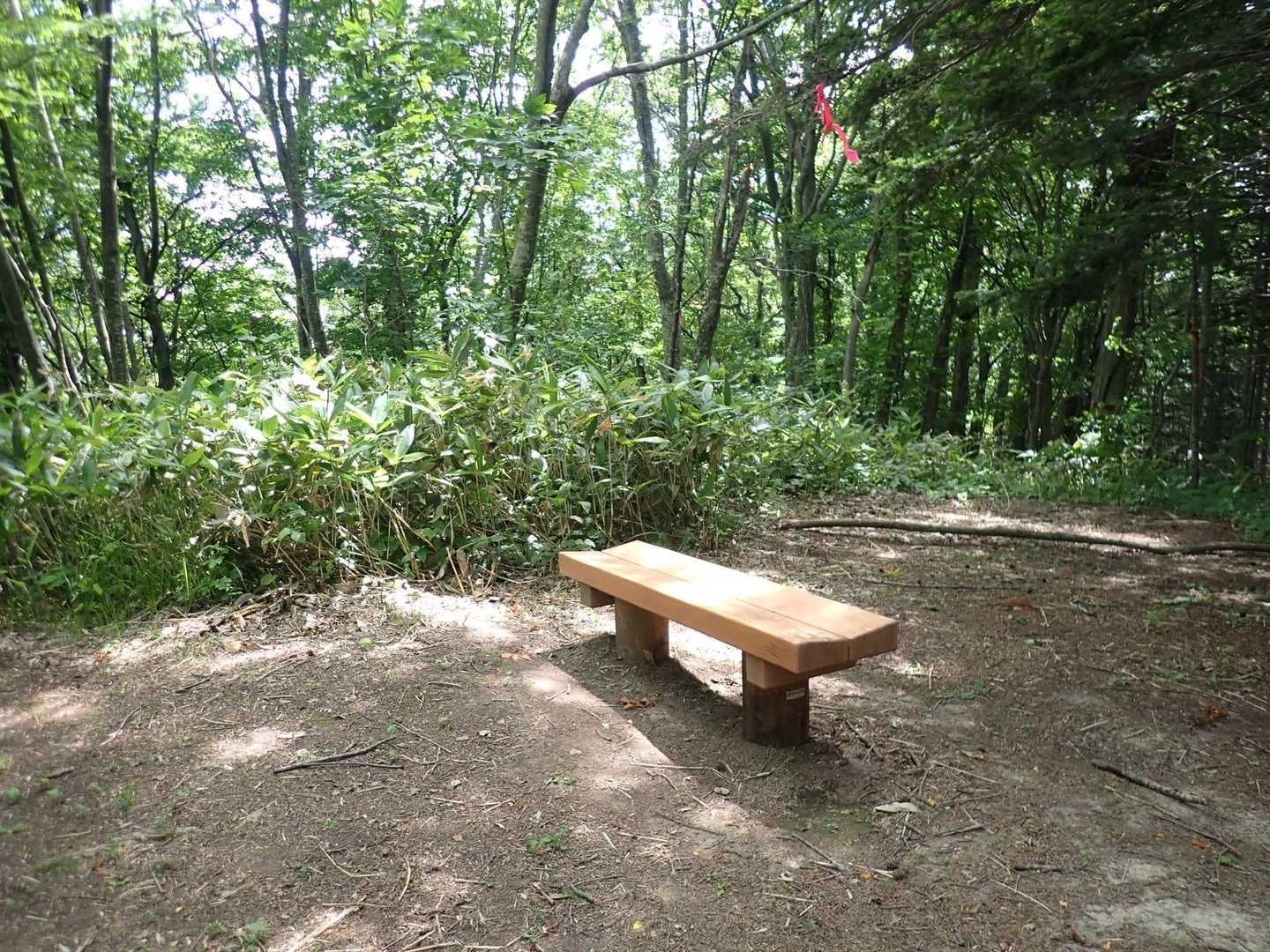日曜日
ヒマすぎて…

ちょっとお山歩してみよう

神居尻…下りが心配だな

長官山…

平らな道が多い萩の山からだな〜