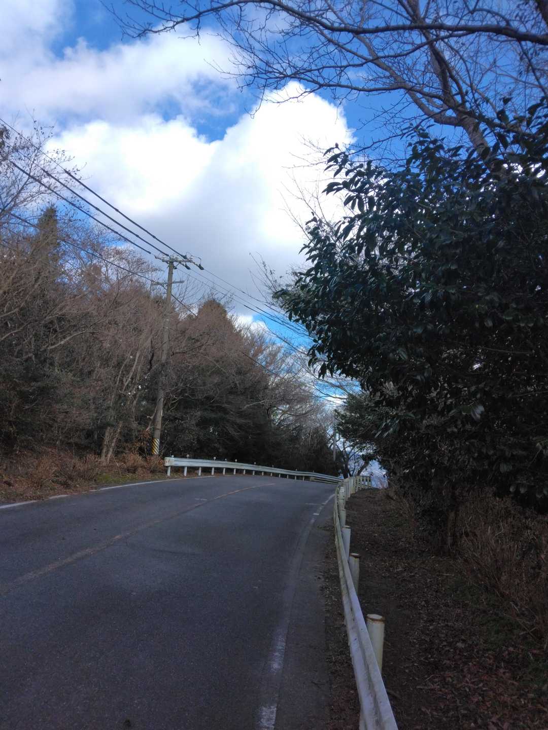 地図によると、この辺りが三ヶ根山の頂上らしいです