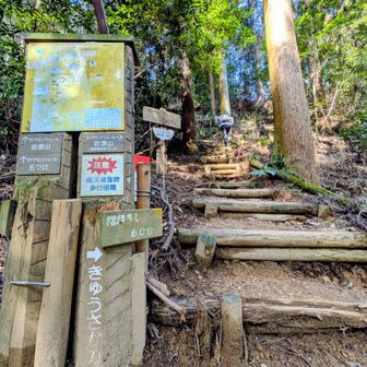 きゅうさかの道を選択
健脚向け60分となってる🦵