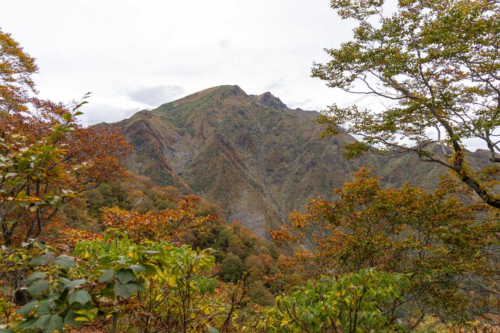 谷川岳の双耳峰がくっきり