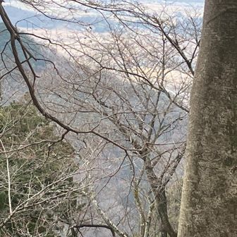 謙信平はちょっと霞んで残念だけど　いいんです　卵焼きと焼き鳥でオッケー