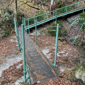 ロングスライダーみたいな階段