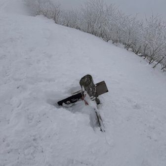 分岐の案内のみ確認できた