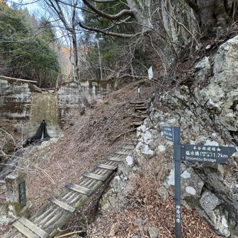 ここからスカッと爽やかに登って行きまーす⛰️