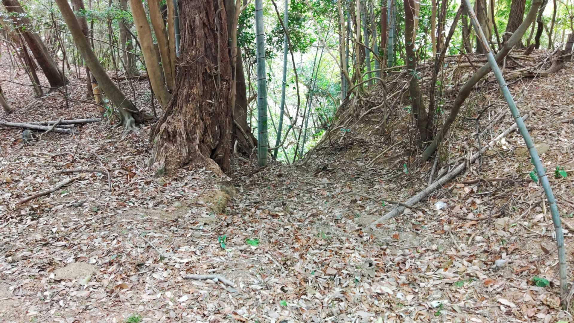 もう竪堀？？