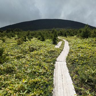 目の前の東吾妻山をみながらの木道🎶💃🏿