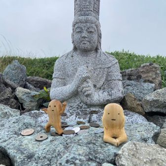 森の妖精またりーずとともに📸