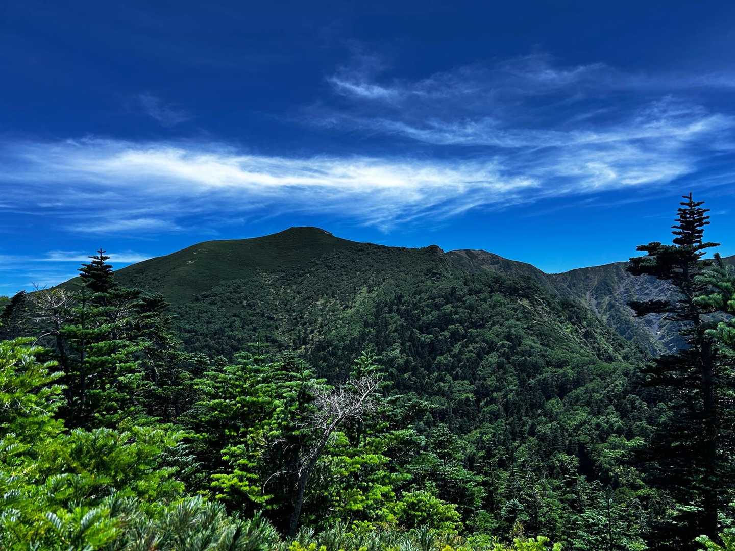 越路バス停-鳥倉登山口-三伏峠-三伏山-本谷山-塩見岳-塩 往復コースの写真