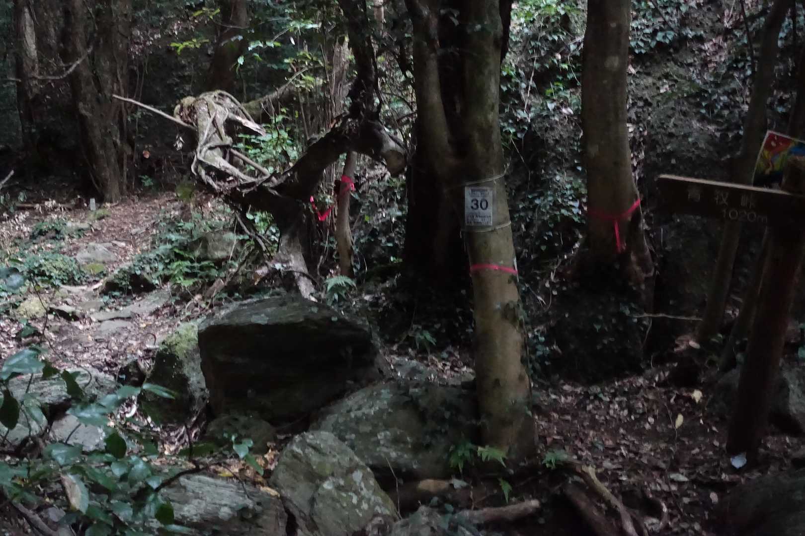 青螺山登り口