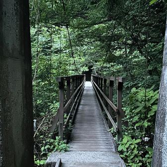 この吊り橋を渡るといよいよと気持ちが切り替わります。