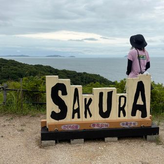海の見える展望所✨