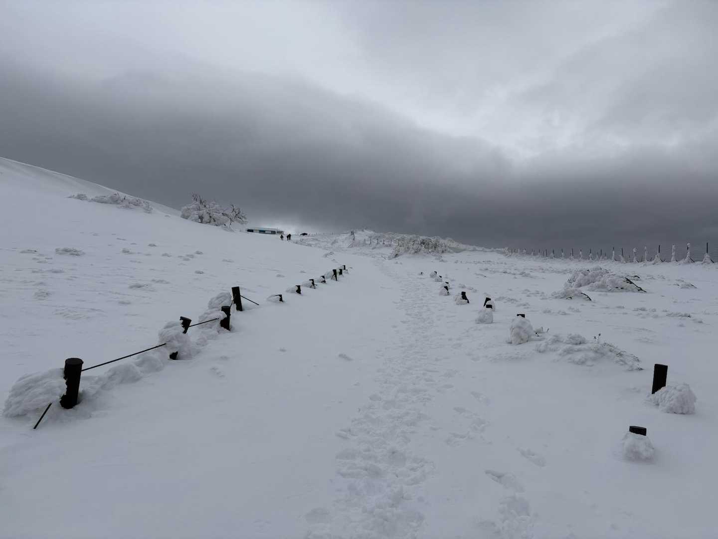 伊吹山 正面登山道（上野口コース）の写真