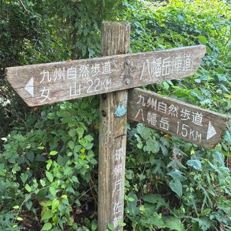これから八幡岳へ