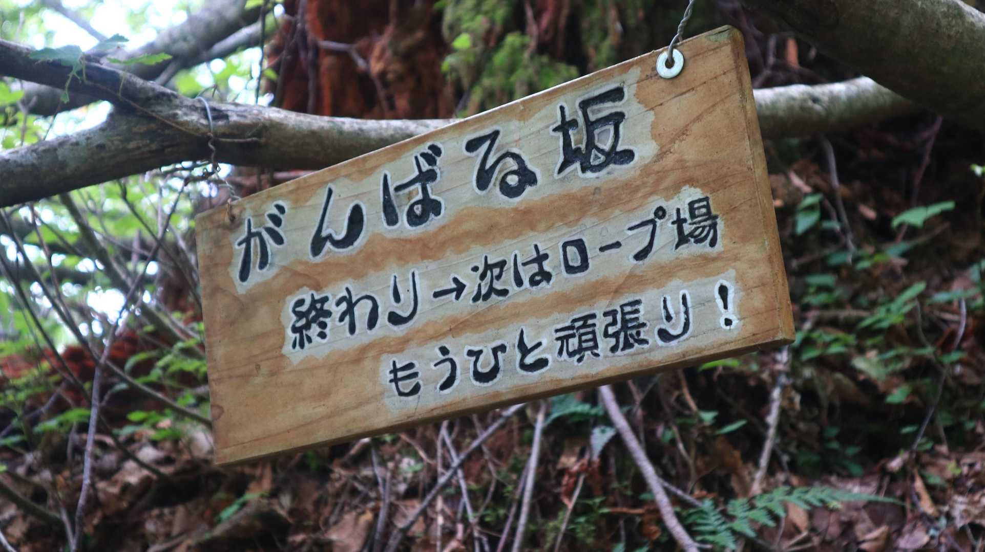 登りきったら頑張る坂だった笑
なかなかの急登