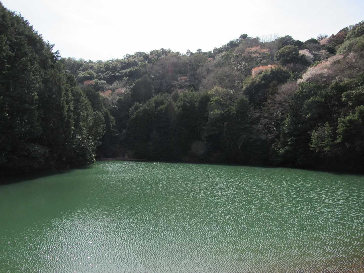 静かな水辺に到着です
