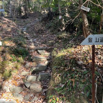 ここからスタート