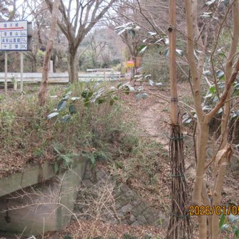 鳴川峠。ここは、いつ来ても誰かいる。今回も、二人連れのおばちゃんがいた。