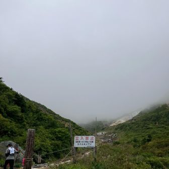 ガス