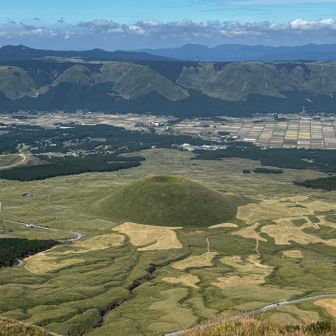 可愛すぎるんだな、米塚🌾