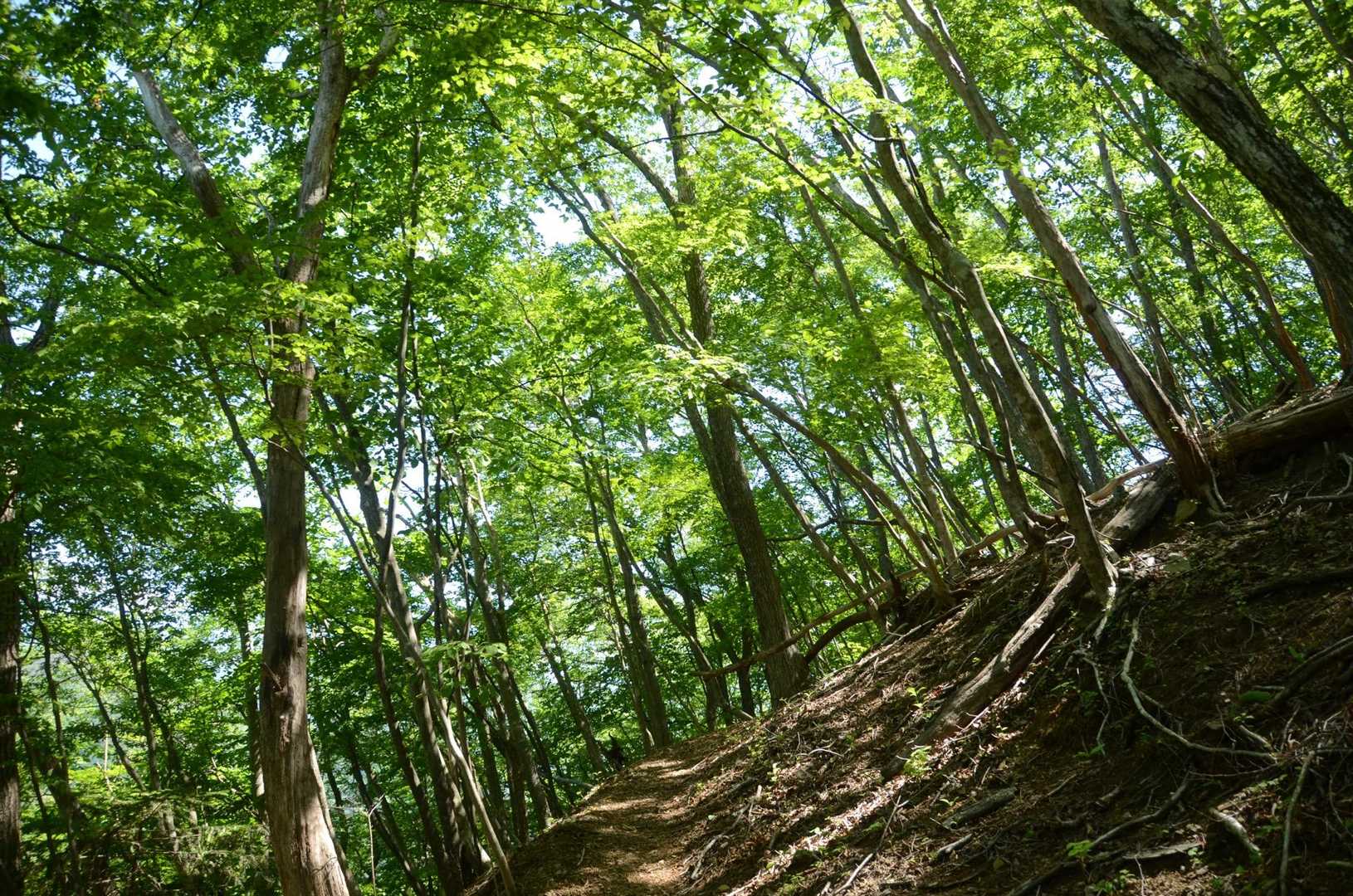 風がすーっと通り抜けて涼しい。