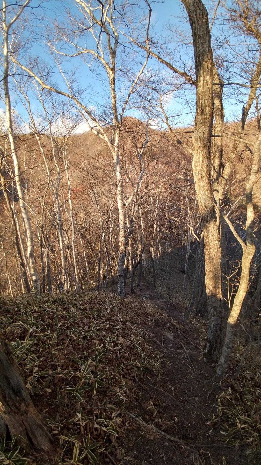 横山登山口-横山中岳 往復コースの写真