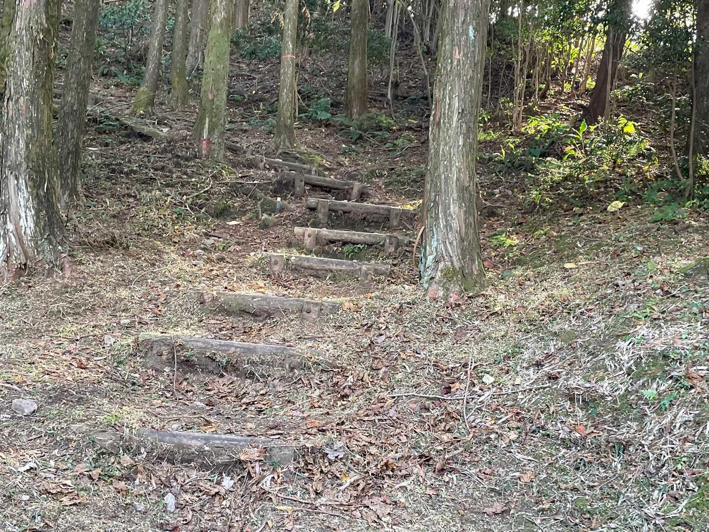 さて、行くよー🏃
走らないけど、後半のこと考えると走れない💦