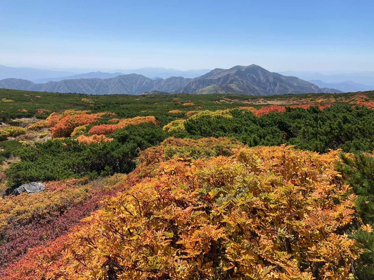 平瀬道登山口-室堂センター-白山 往復コースの写真
