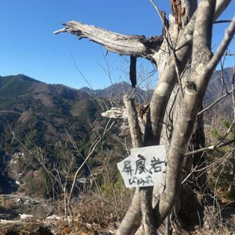 ここでランチタイム