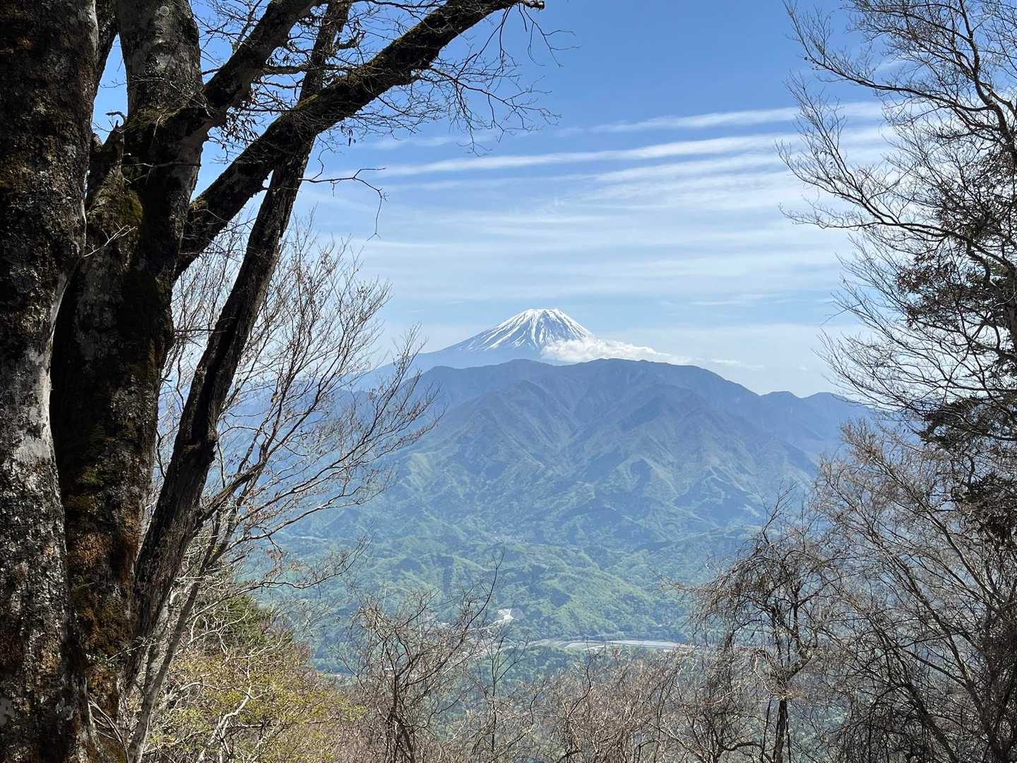 富士見山-御殿山 周回コースの写真