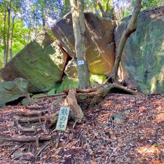 熊の石。
来年はクマ減らないかなあ...