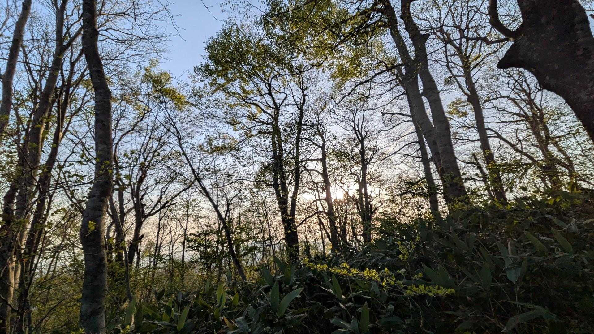 お天道様☀ありがとう🙏