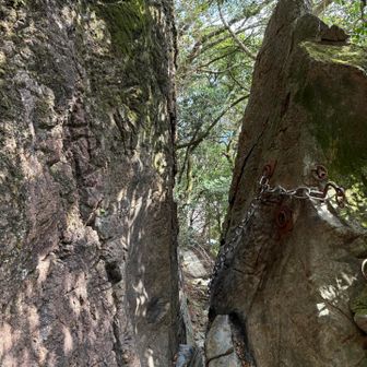 悪人はここを通れないという奥の院の関所です
・・・通れるかしら