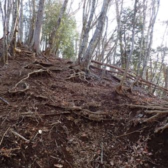 加瀬山への登り👻💦
途中までロープあり。