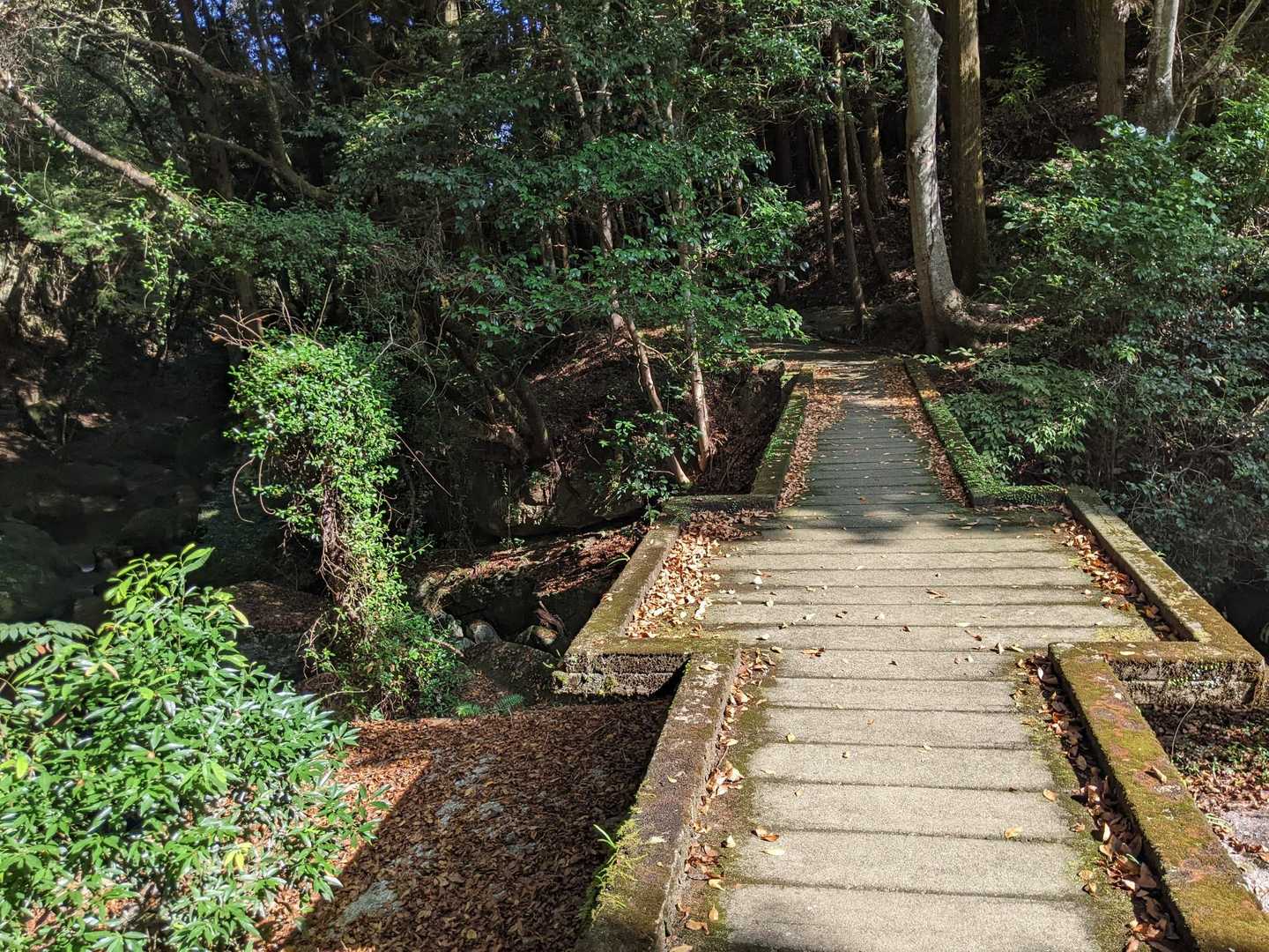 梟ヶ城址展望台 周回コースの写真