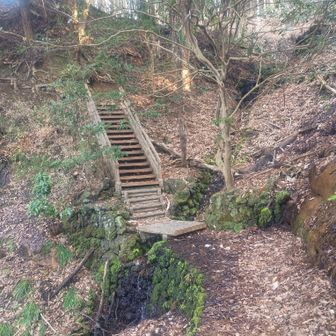 YAMAPルートは公園横の道を歩くようでしたが、公園内のハイキングコースを通っても合流しそうなのでこちらを通る事にしました