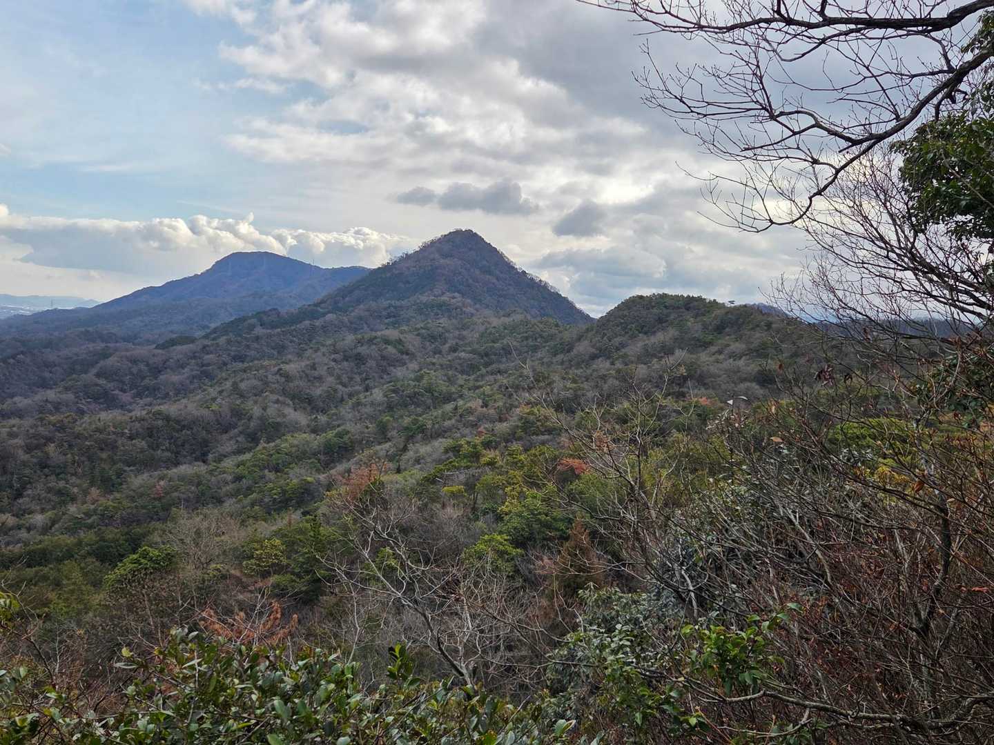 此れから行く猫山