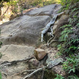 岩肌のロープ場が多数有り。