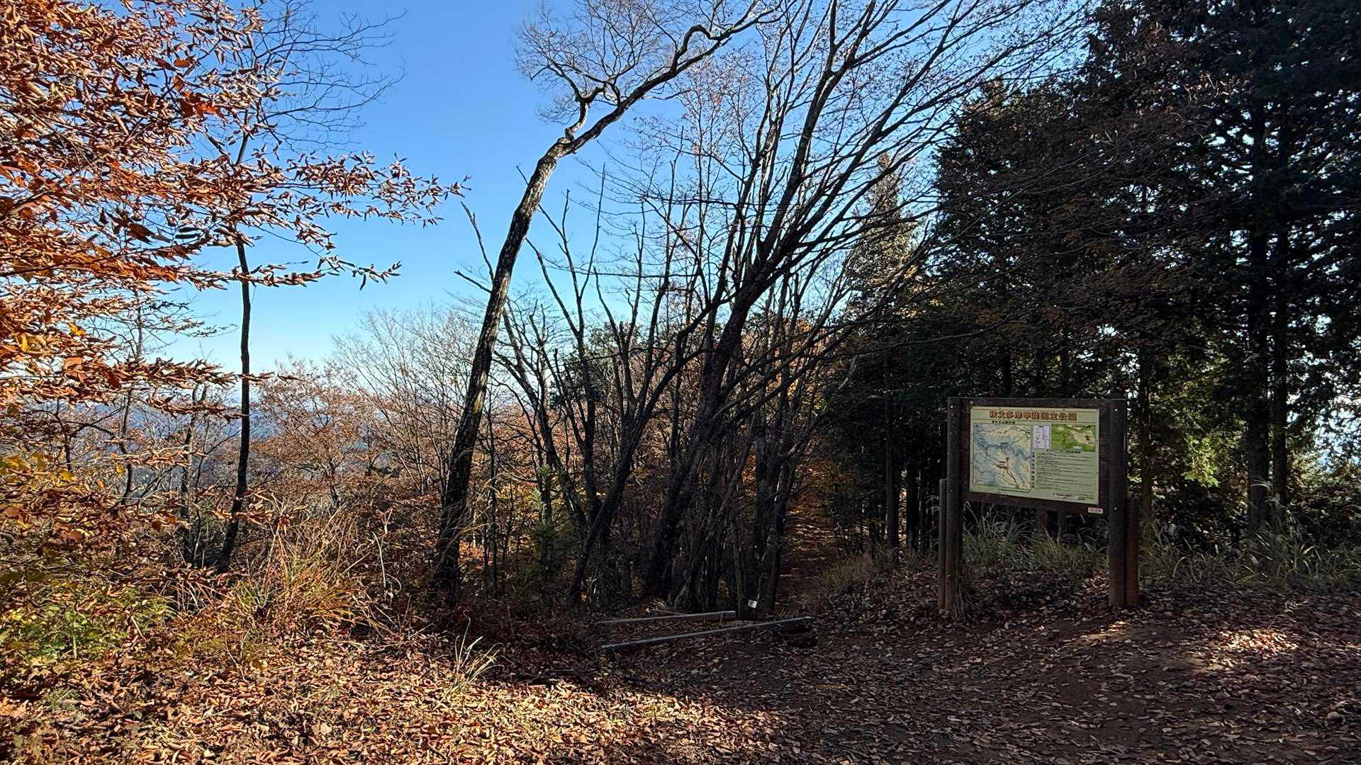 常福院を後にしてしばらく登ると高水山へ到着！
歩いてきた道はこんな感じのご褒美ロード😁