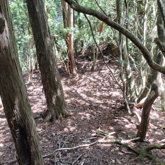 風伝アルプス⛰️ひとまず縦走🎉…元玉置・裏玉置神社を経由して / マル