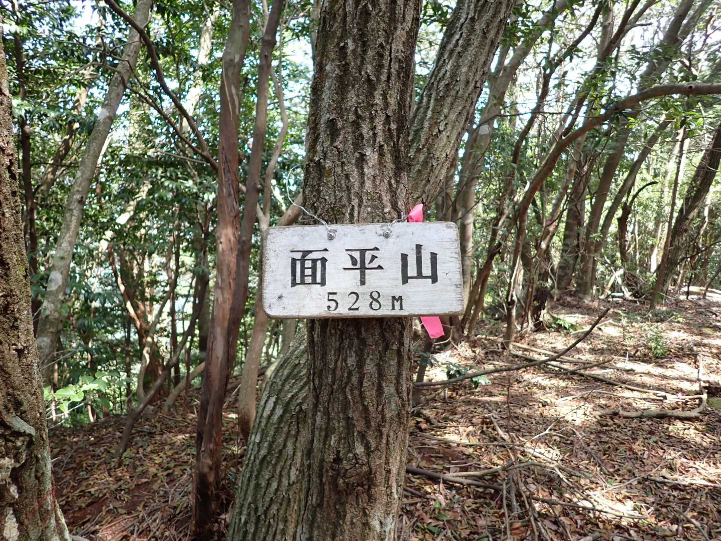 ５座目、山頂
